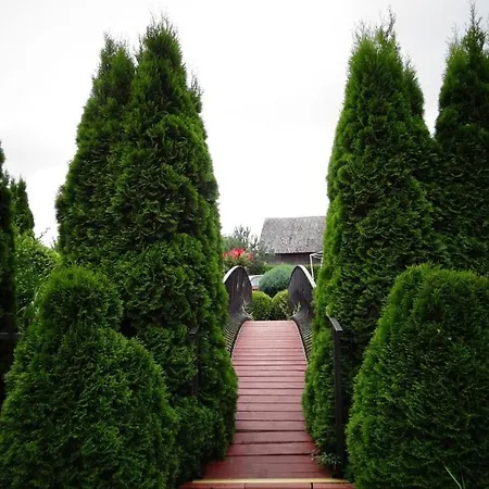 7 Dziewczyn * جيفيجينا