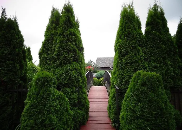 7 Dziewczyn * Dźwirzyno